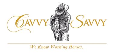 Cavvy Savvy logo